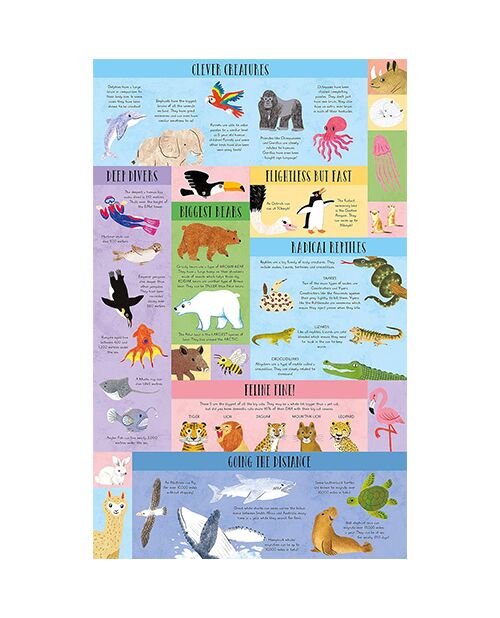 Laege Question and Answer Flap Book - Animals by  Rachel Moss