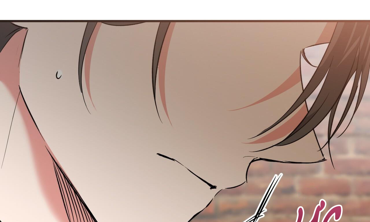 đàn thỏ của habibi chapter 55 271