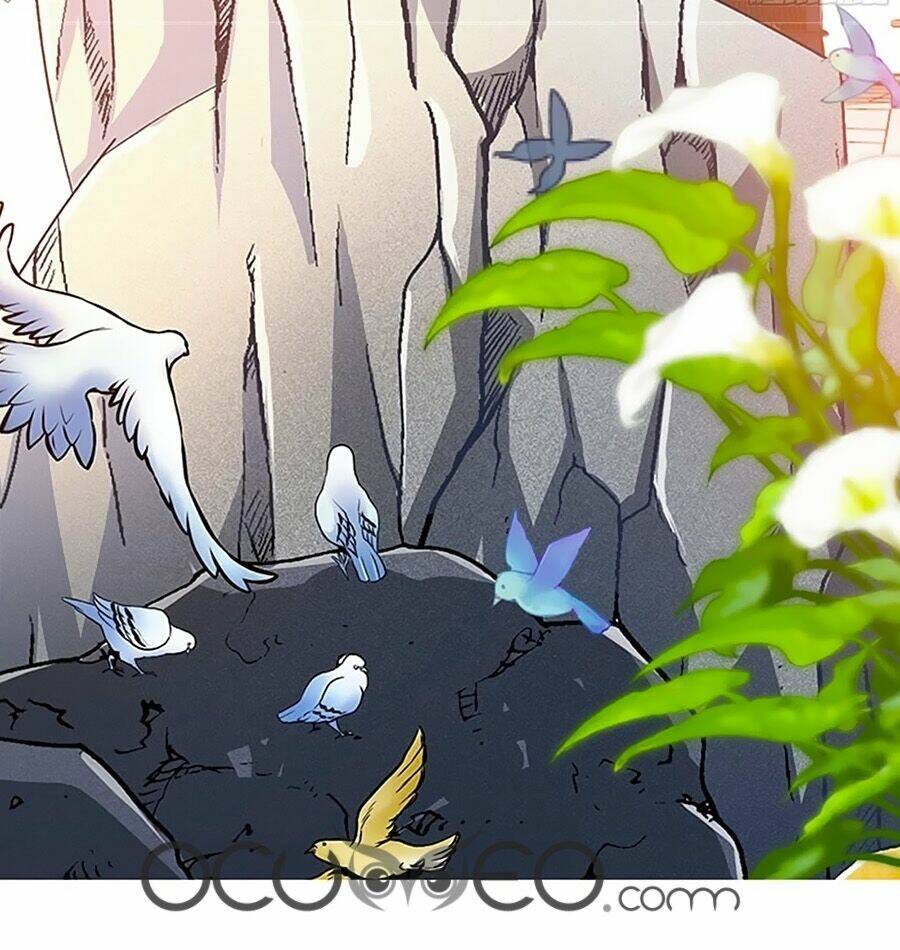 ngự thú linh phi chapter 0 17