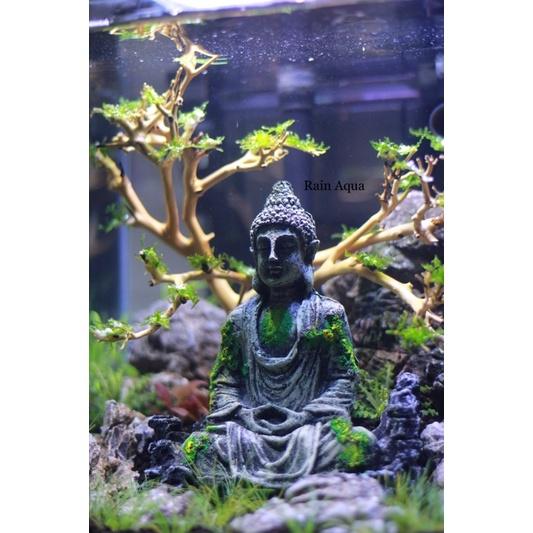 Mô hình tượng phật trang trí bể cá bể thủy sinh