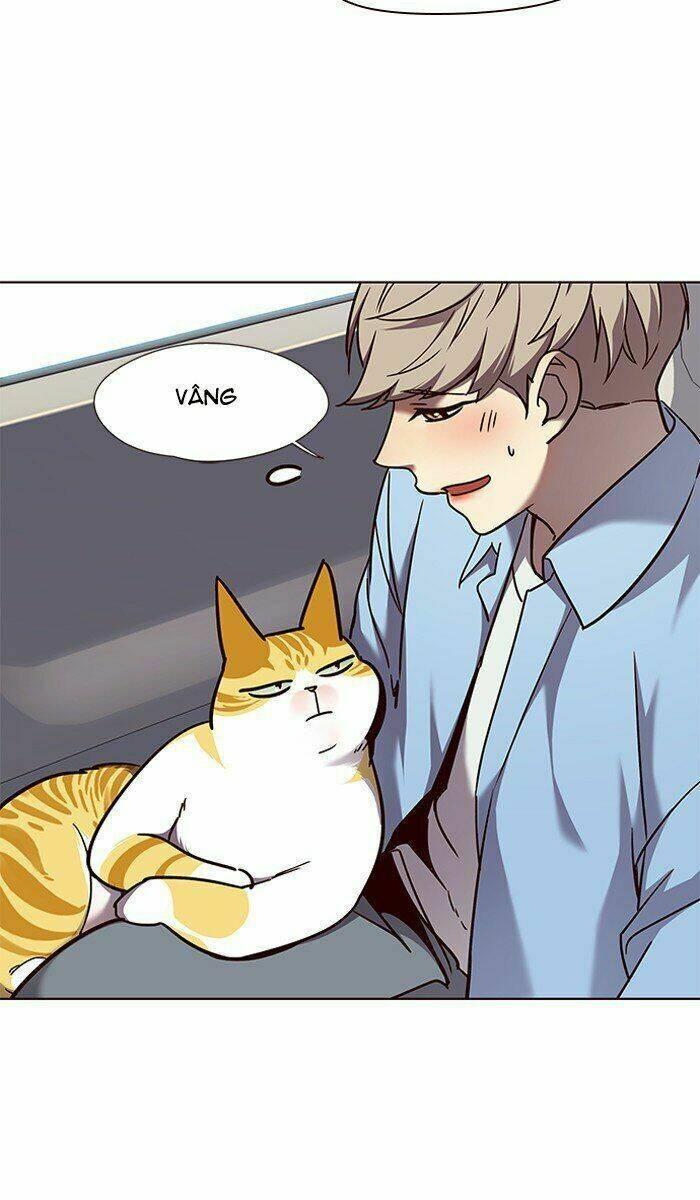 biến thân thành mèo chapter 67 36