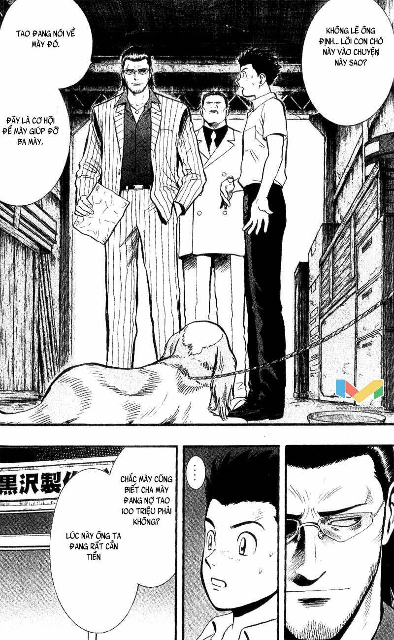 animal sense chapter 3 6