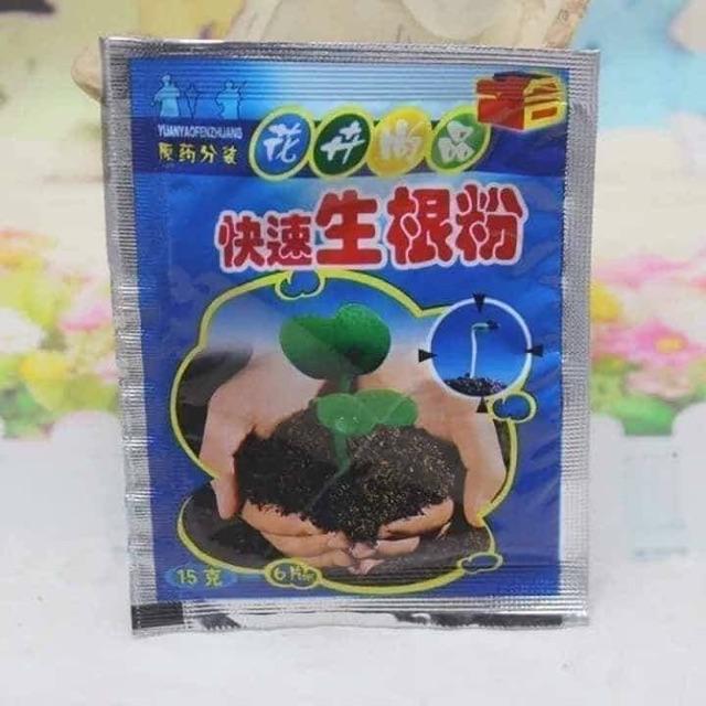 Siêu kích thích ra rễ