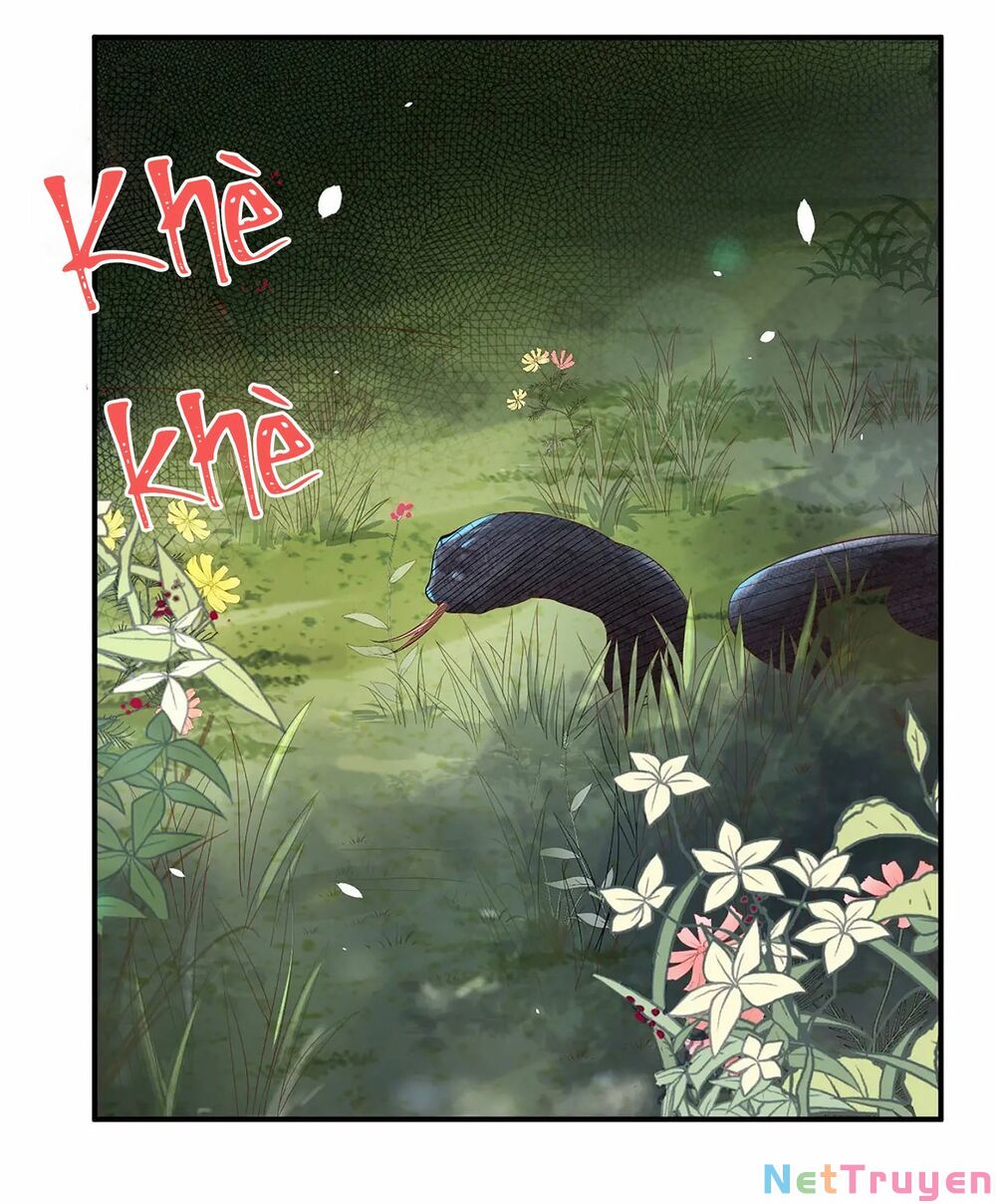 chàng vú em tu chân chapter 75 38