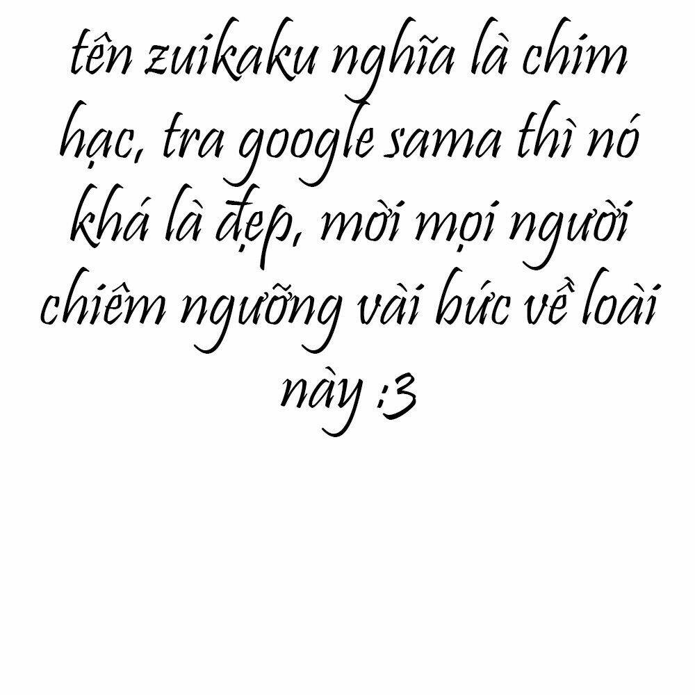 level 1 zuikaku chapter 1 6