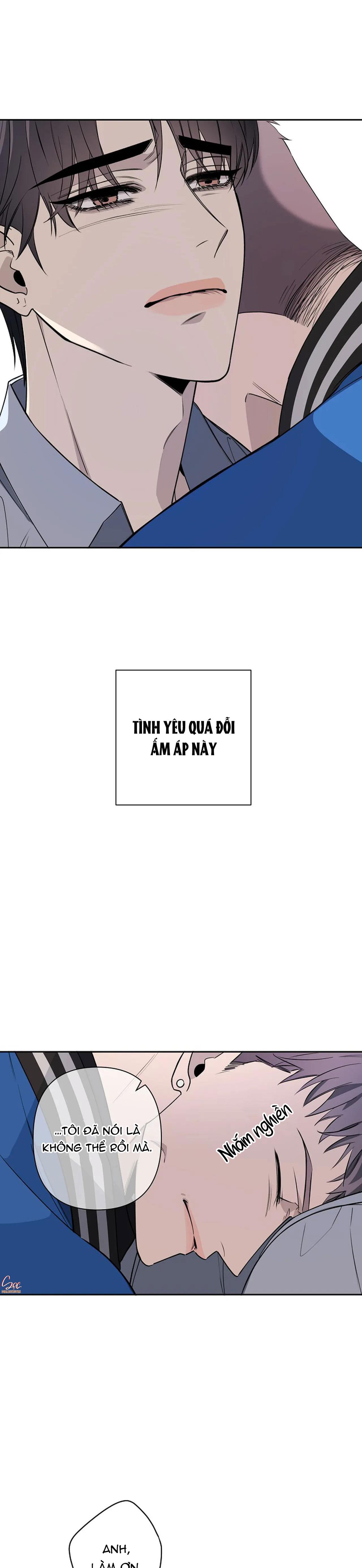 đêm dịu dàng chapter 40 4