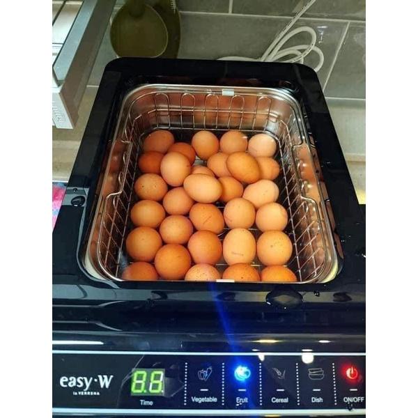 Máy Rửa Thực Phẩm Easy W Và Pathberg, Công Nghệ Sóng Âm Giúp Loại Bỏ 99% Vi Khuẩn, Chất Độc Trong Thực Phẩm, Nhập Hàn