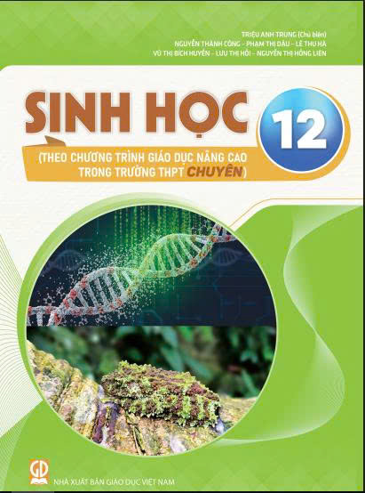 Mai em vào lớp 1: Vở tập tô chữ số (Dành cho trẻ từ 5-6 tuổi)
