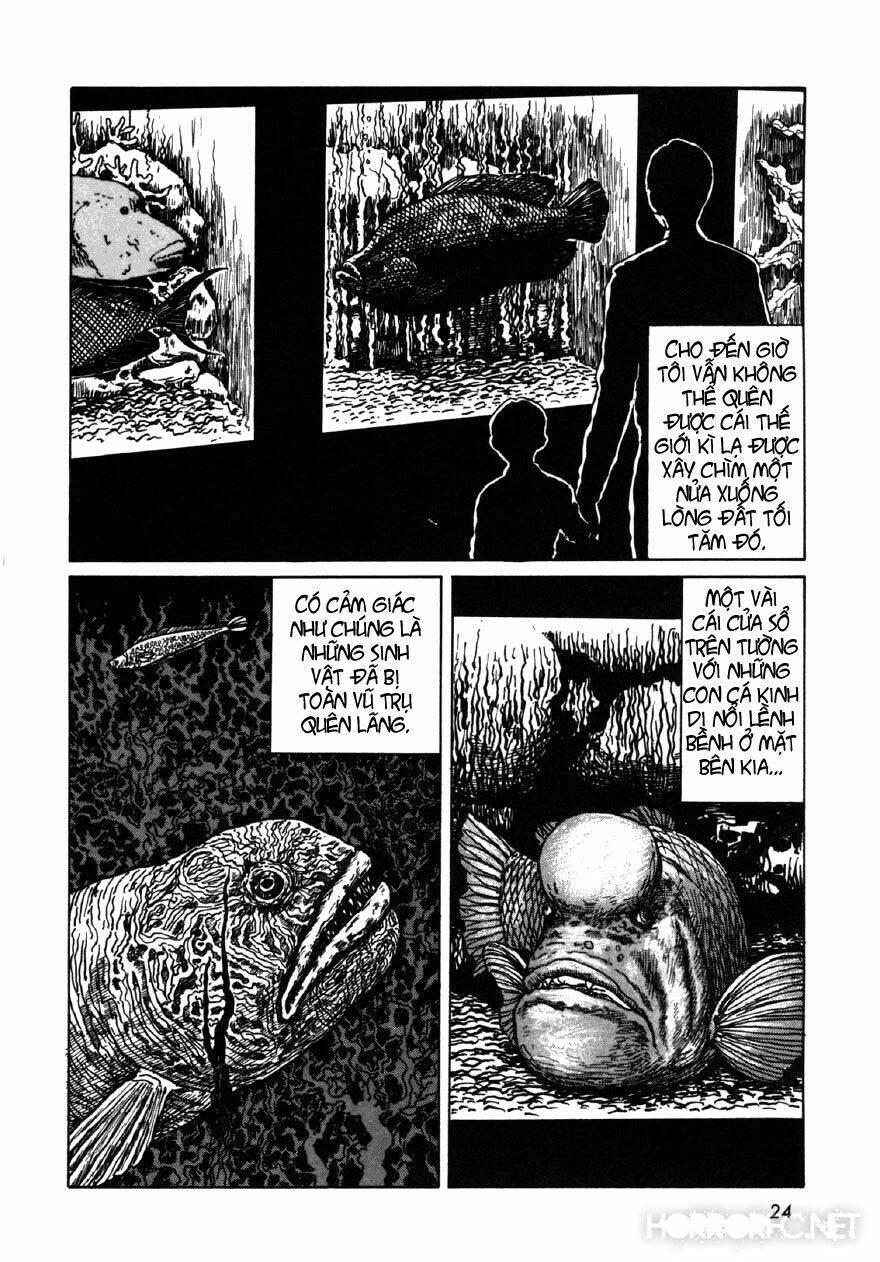 tuyển tập truyện ngắn kinh dị của ito junji chapter 7.2 7
