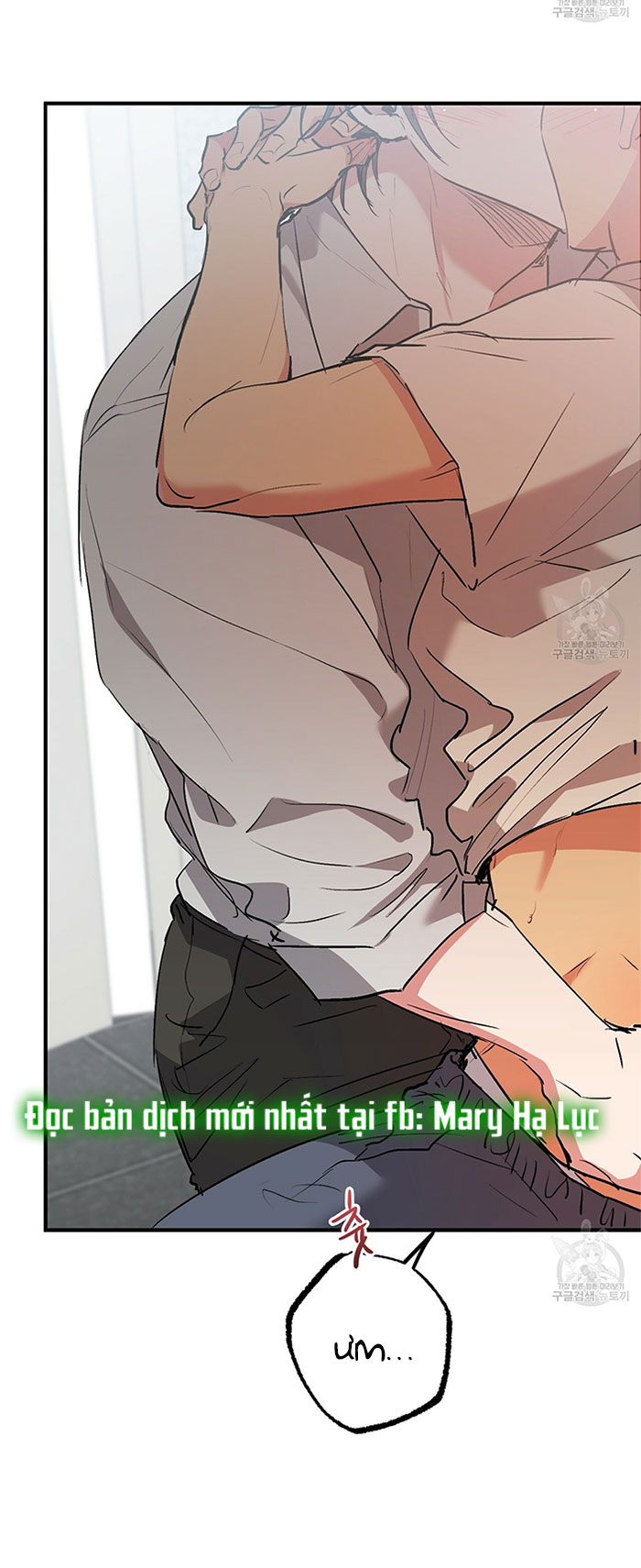 những chú thỏ của hapypy chapter 43 5