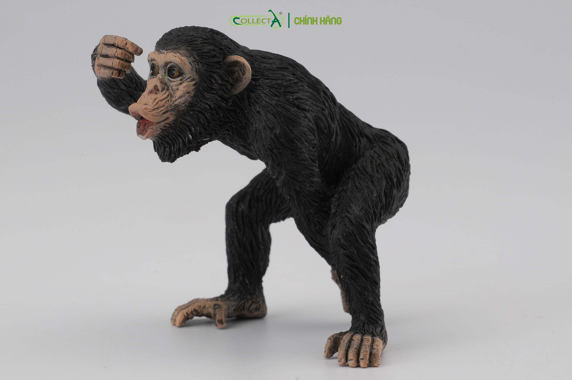 Mô hình thu nhỏ: Tinh Tinh bố - Chimpanzee Male, hiệu: CollectA, mã HS 9651031[88492] -  Chất liệu an toàn cho trẻ - Hàng chính hãng