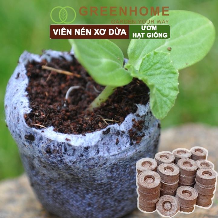 Viên Nén Xơ Dừa Greenhome, Ươm Hạt Giống, Ươm Cây Con Tiện Lợi, Đầy Đủ Dinh Dưỡng, Cây Phát Triển Nhanh