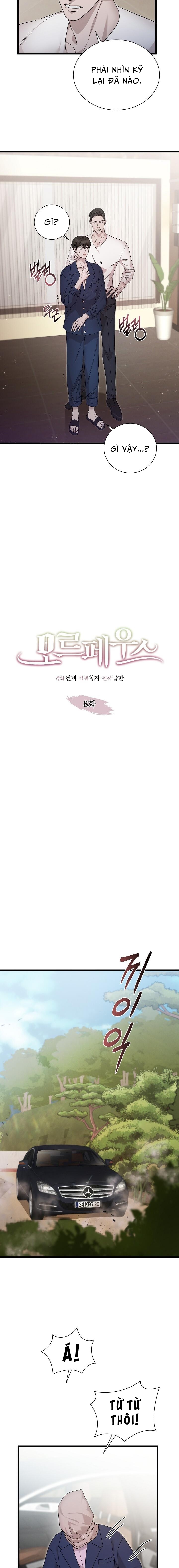 morpheus chapter 8 2