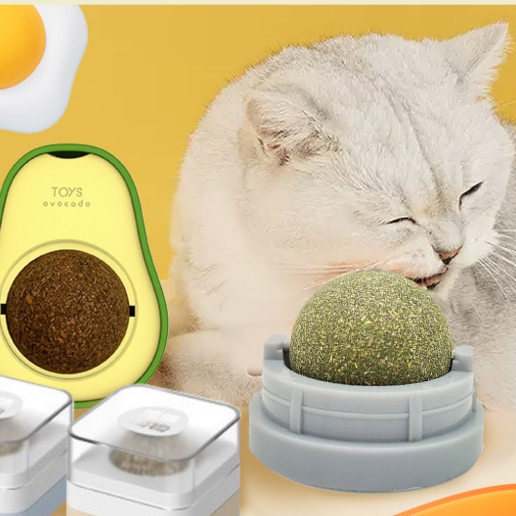 Cỏ mèo bạc hà dán tường Catnip cho mèo giúp mèo giảm stress, đồ chơi cho mèo