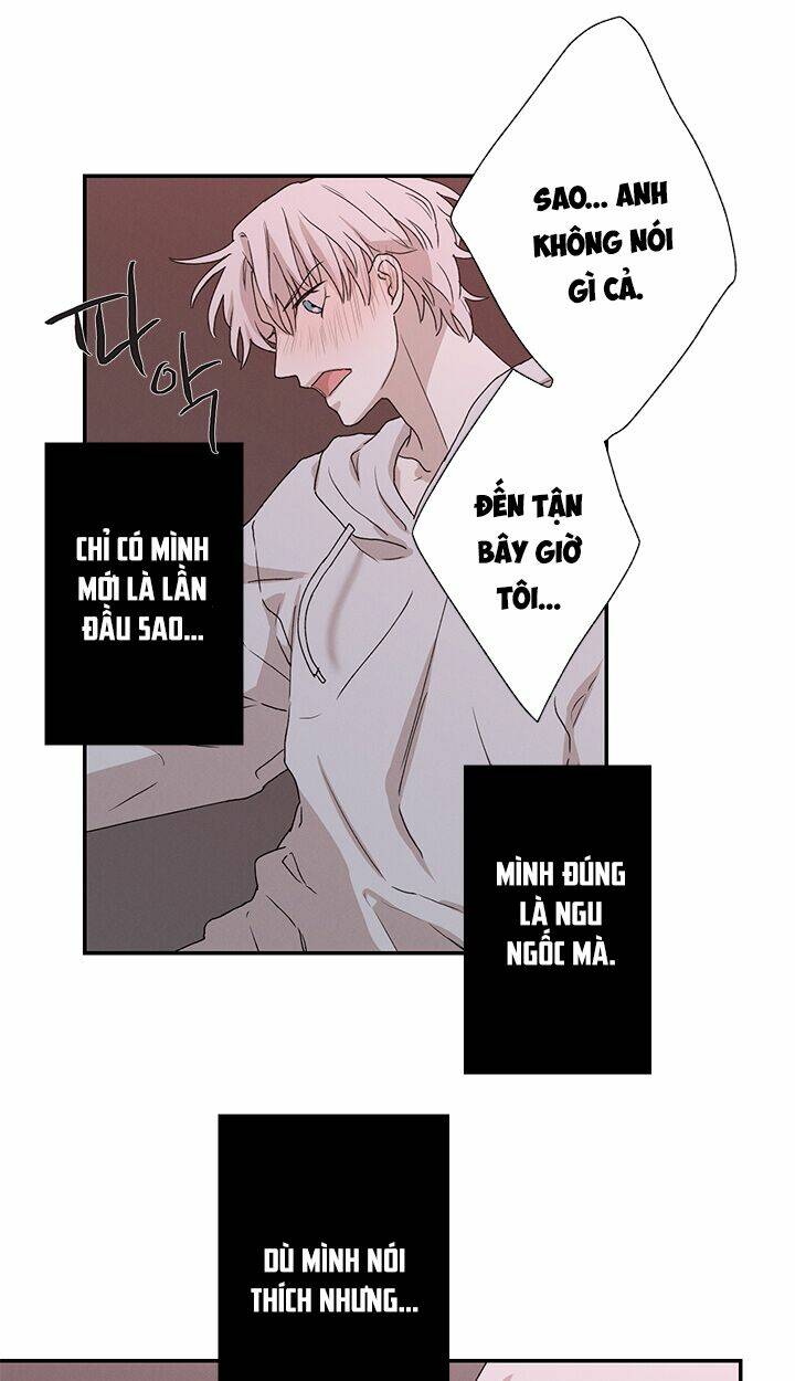 trốn tìm chapter 22 29