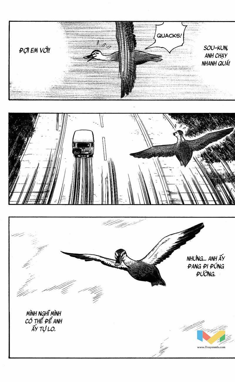 animal sense chapter 9 28