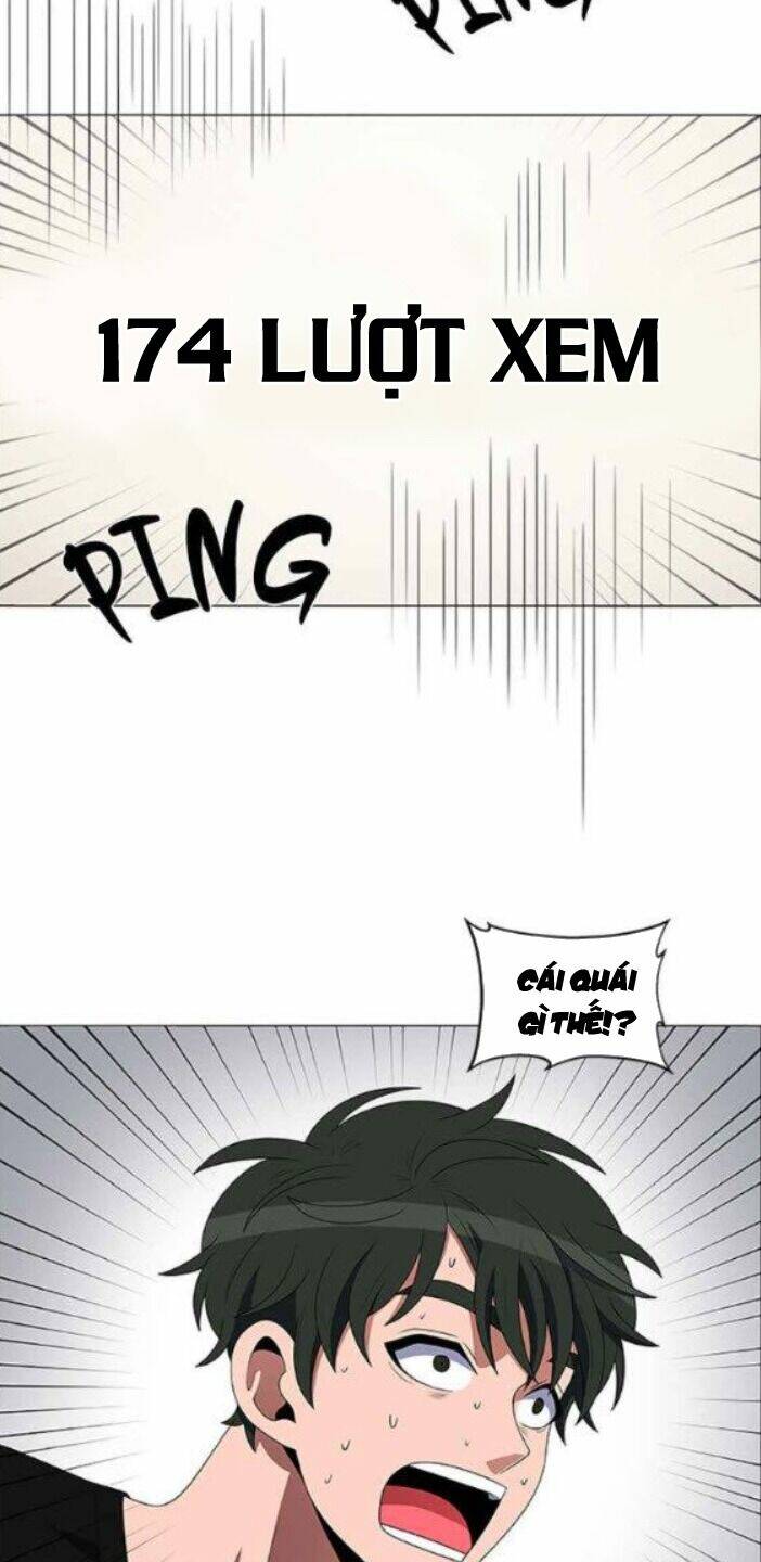 no scope chapter 115 37