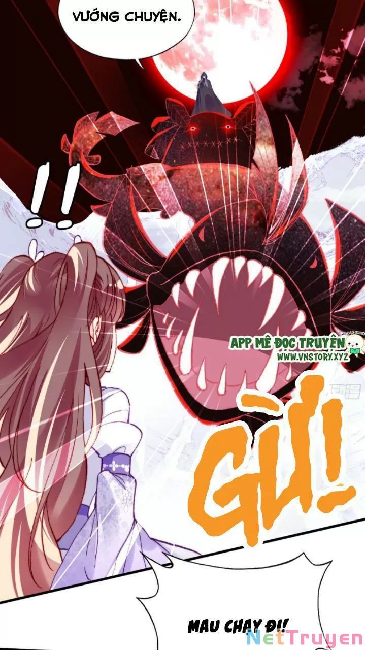 lại bị bệnh chiều chuộng quấn lấy chapter 23 49