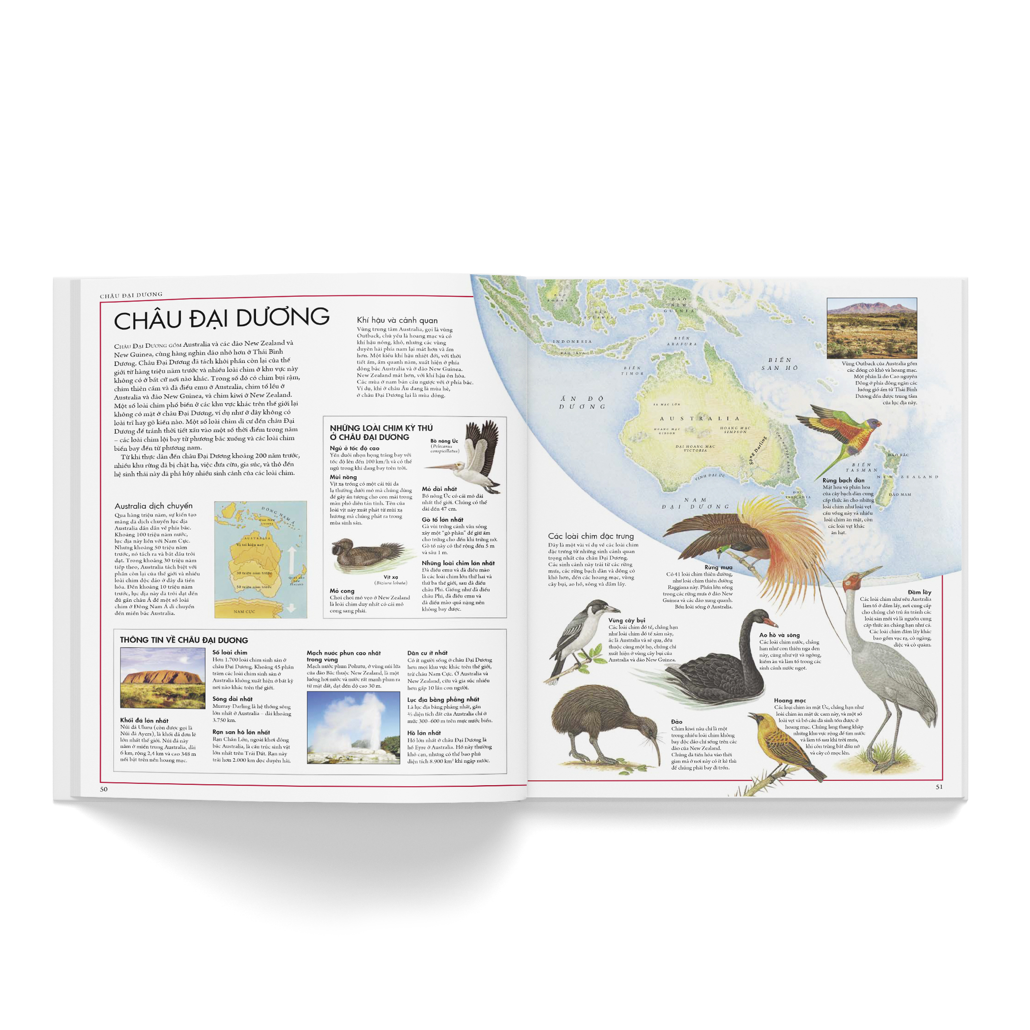 Combo 2 cuốn: Atlas động vật + Atlas các loài chim