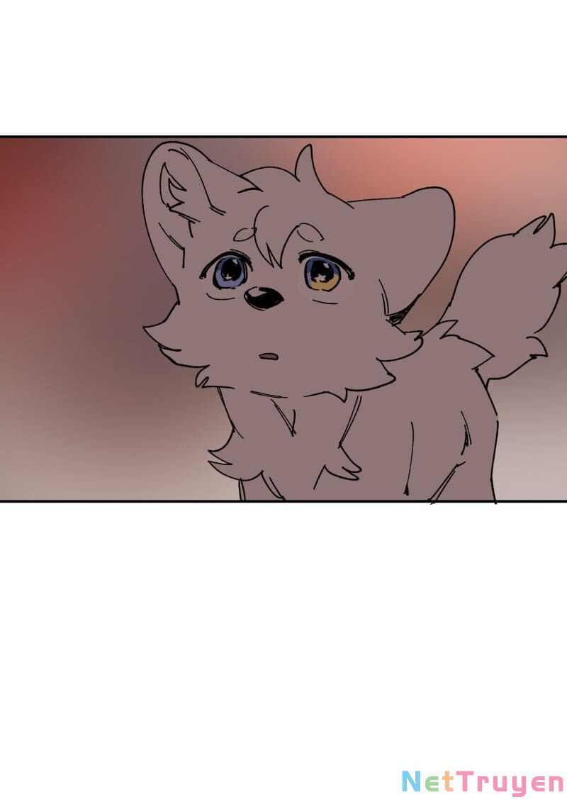 lumine - cội nguồn ánh sáng chapter 109 43