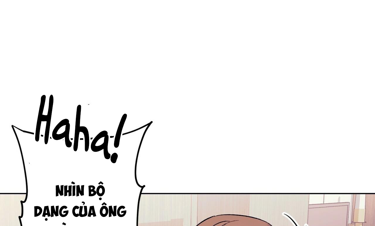 chàng dâu nhà họ kang chapter 17 5