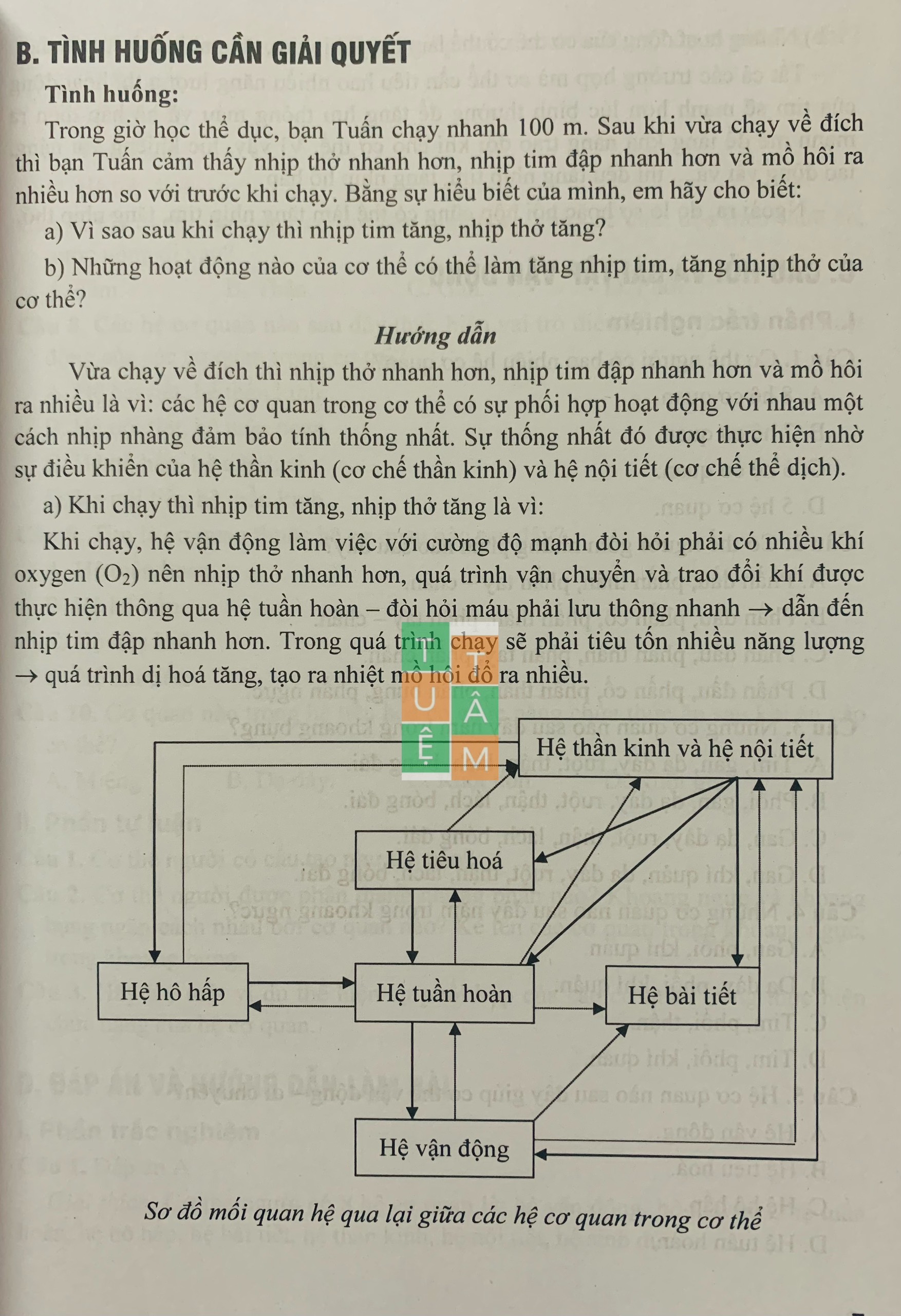 Hình ảnh Sách - Bồi dưỡng học sinh giỏi Sinh học 8