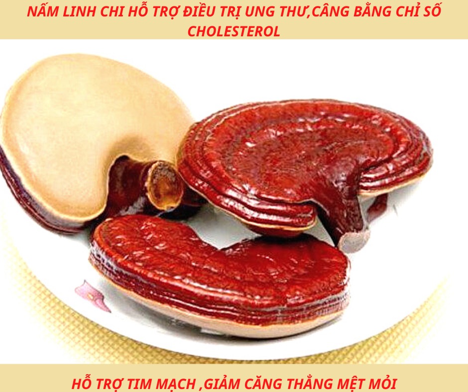 Hình ảnh VIÊN ĐÔNG TRÙNG HẠ THẢO SAFFRON 60 VIÊN