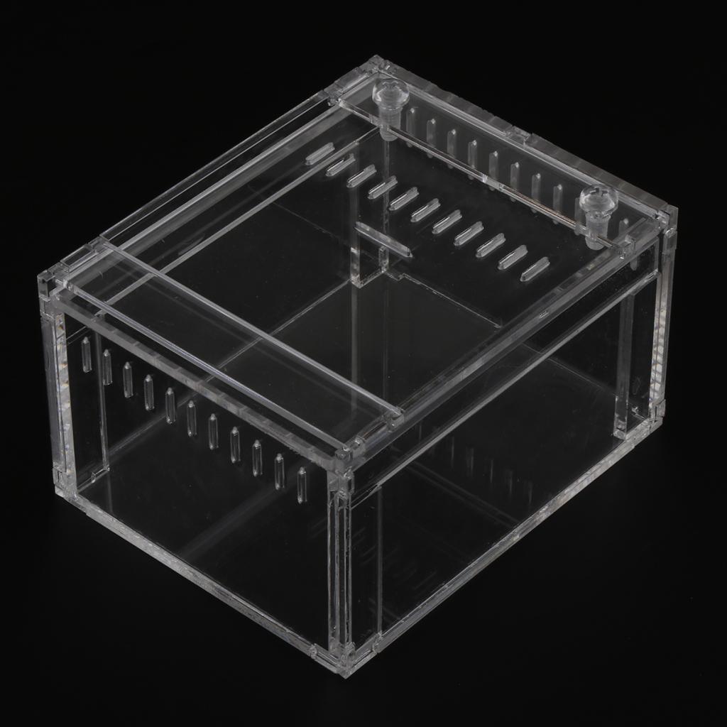 Acrylic Pet Reptiles Worm Breeding Box Clear Cases for Reptile