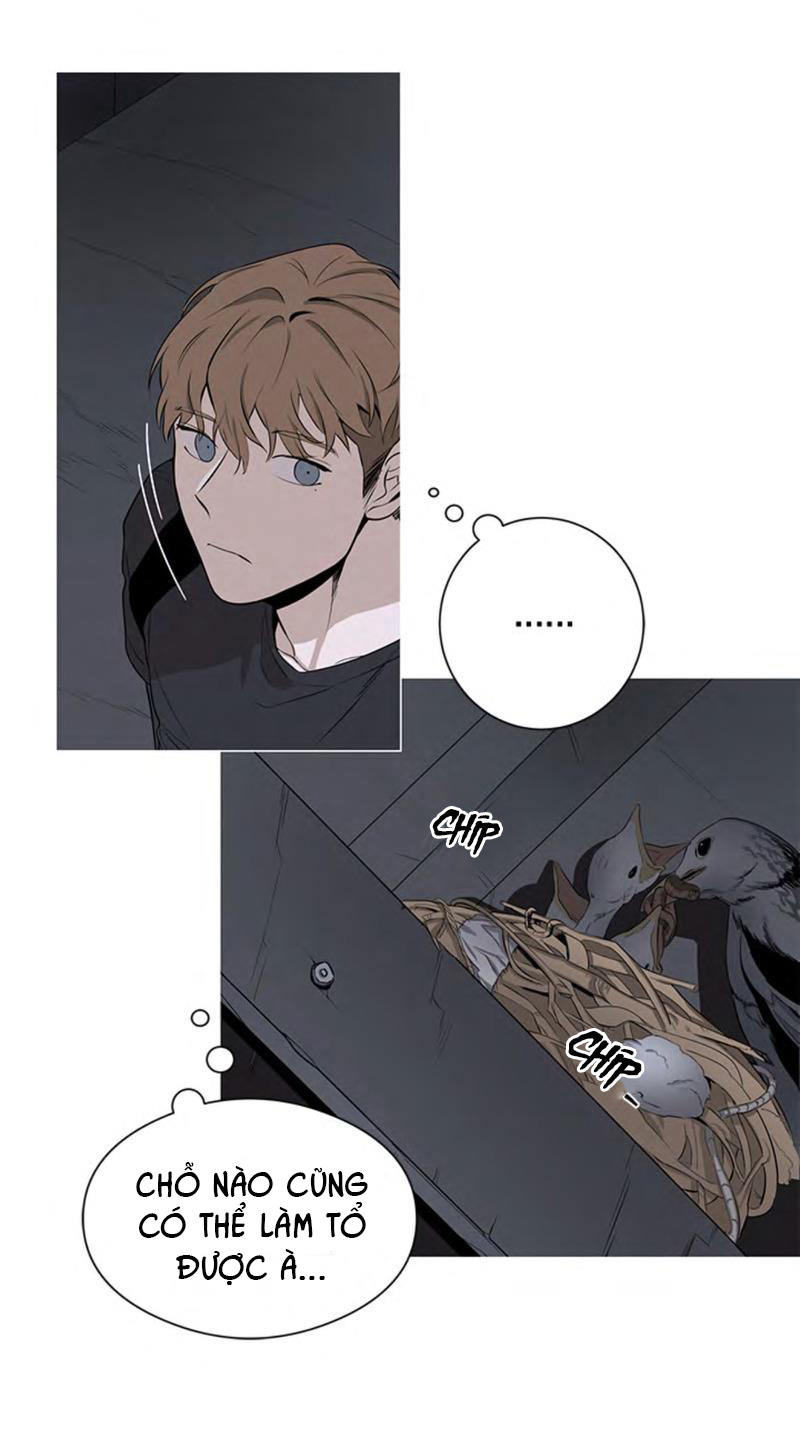 the wing chapter 1 9