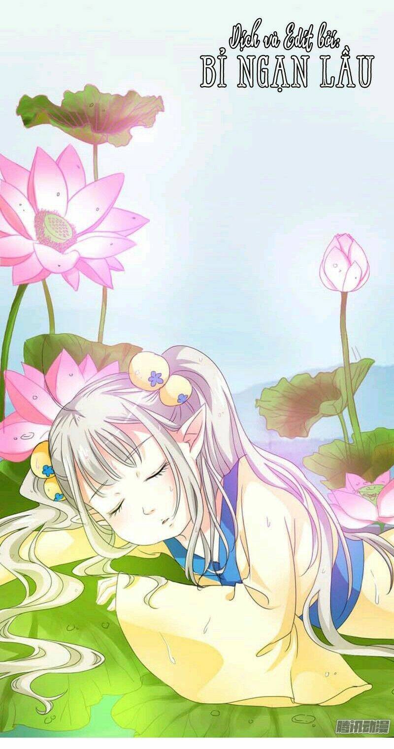 động vật nhỏ thật đáng yêu chapter 8 9