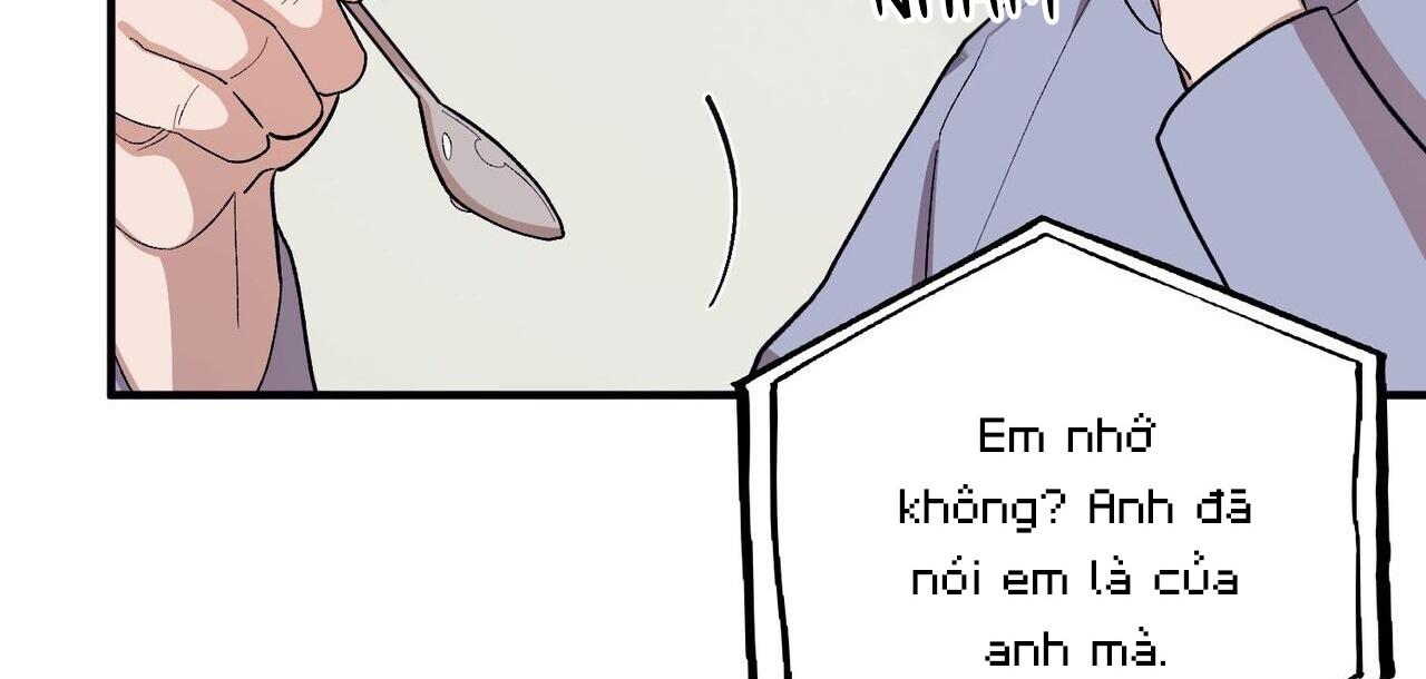 chàng dâu nhà họ kang chapter 58 137