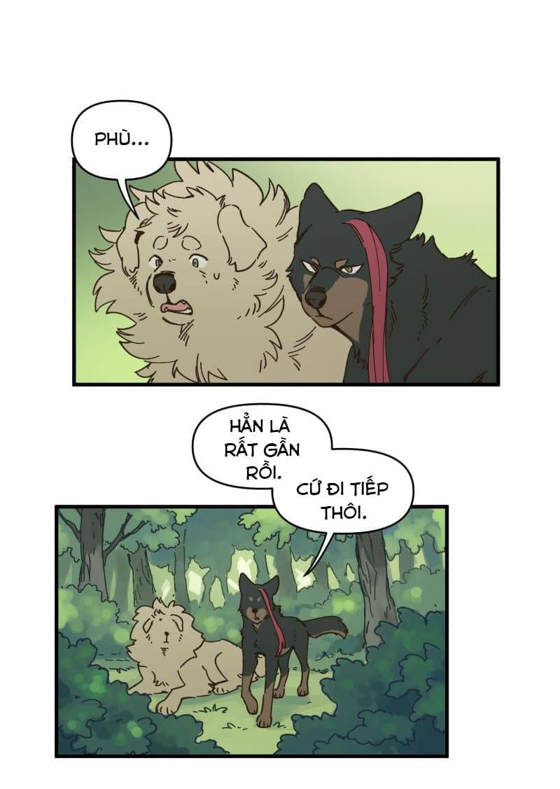 lumine - cội nguồn ánh sáng chapter 142 20