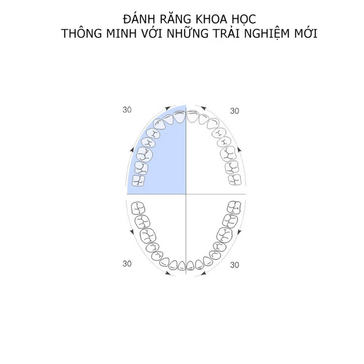 Đầu bàn chải đánh răng điện nhãn hiệu Philips HX6011