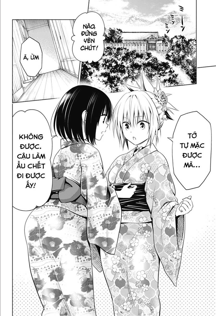 diệt quỷ nhẫn giả chapter 88 13