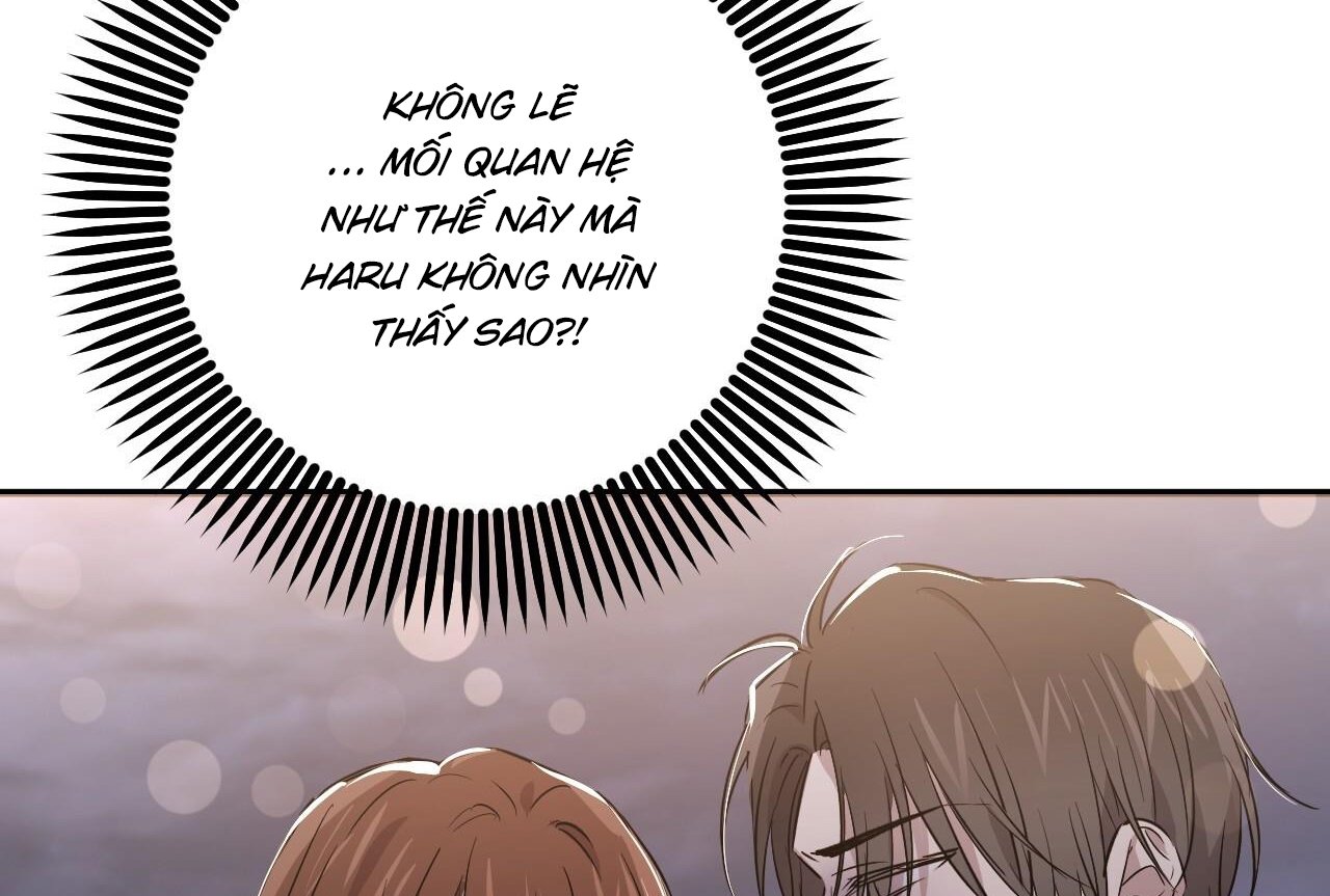 những chú thỏ của hapypy chapter 58 51