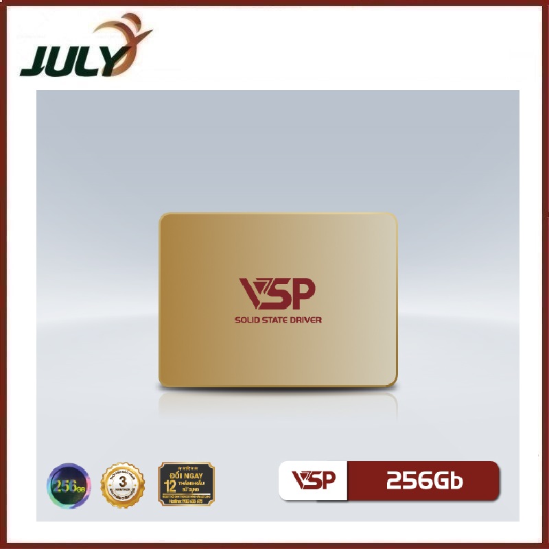 Ổ cứng SSD VSP 860G QVE 256Gb - JL - HÀNG CHÍNH HÃNG