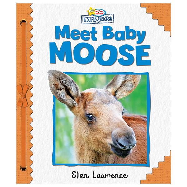 Sách ngoại văn: Active Minds Explorers - Meet Baby Moose