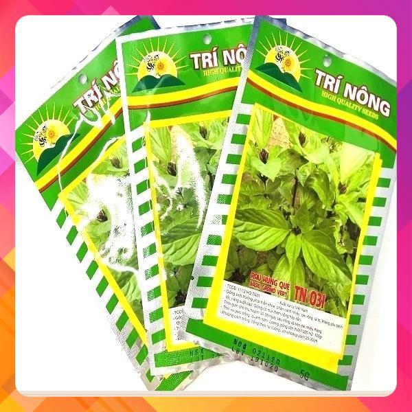 Hạt giống rau húng quế TN 031
