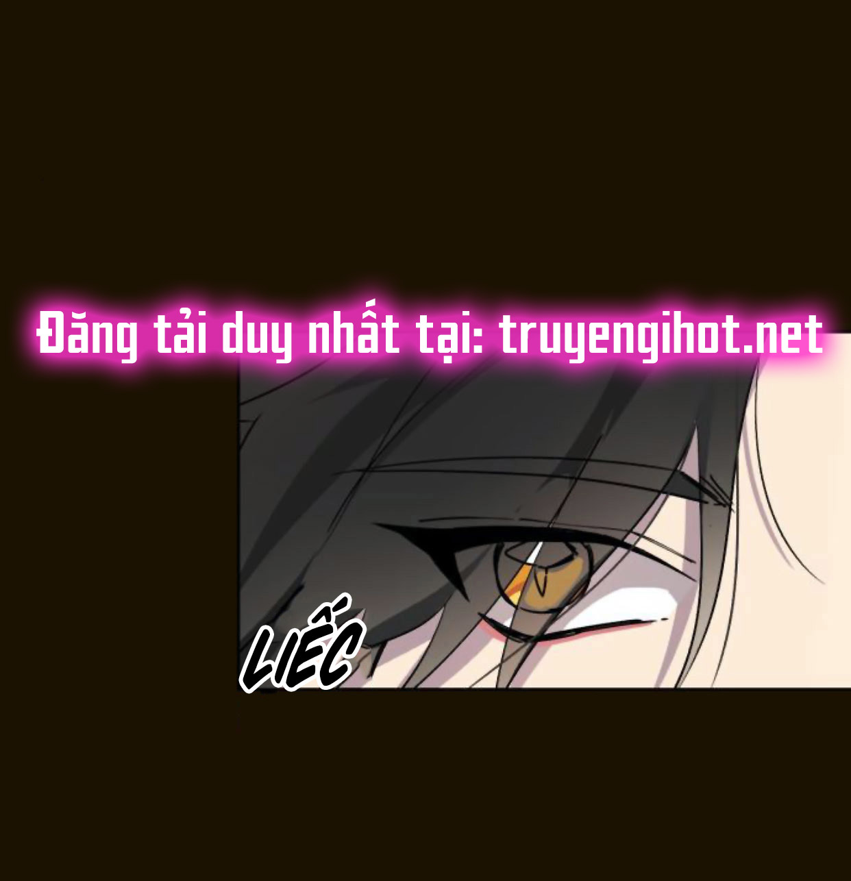 đã có lúc ta muốn nàng chết đi chapter 16.2 6