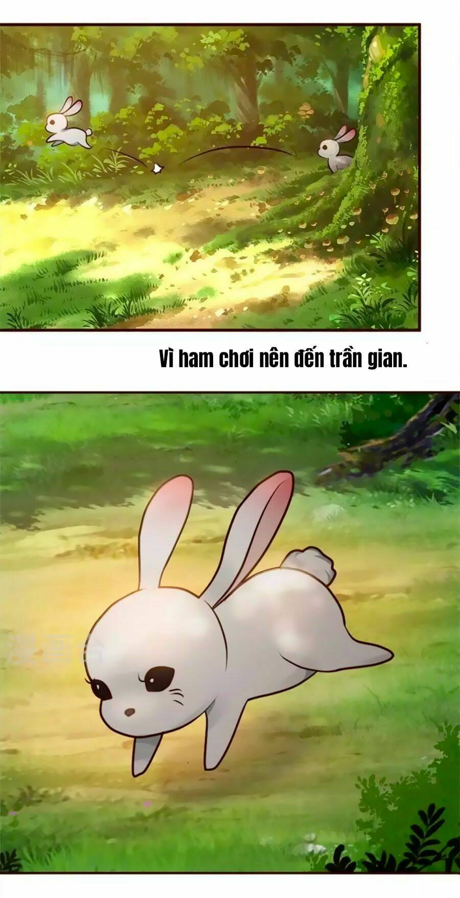 thỏ yêu tiểu vương phi chapter 1 4