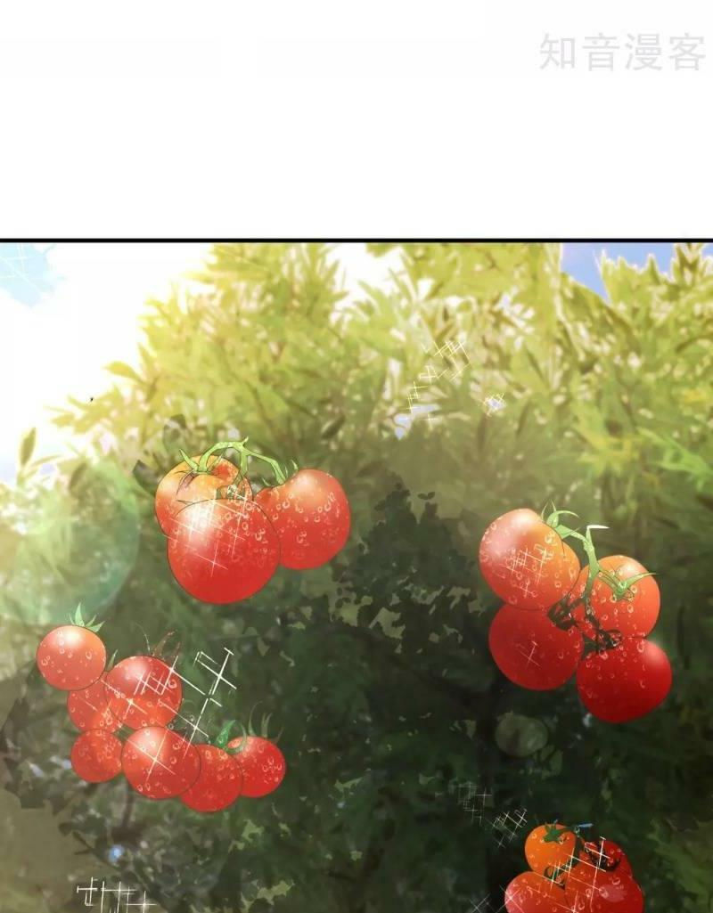 vòng bạn bè mạnh nhất của tiên giới chapter 2 10