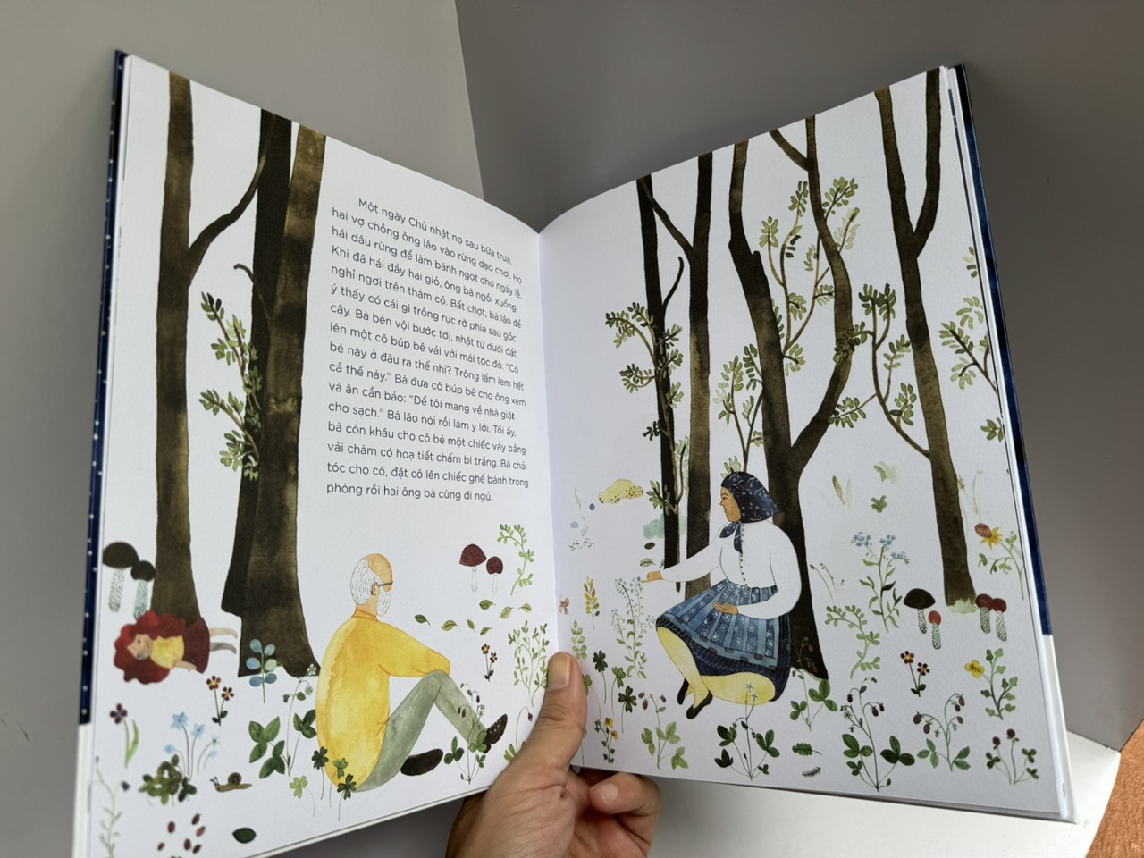 CÔNG XƯỞNG XANH CỦA APOLENKA - Romana Košutková - San Hô Books