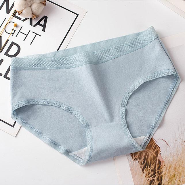 Combo 4 Quần lót nữ Cotton thời trang  QL 8135