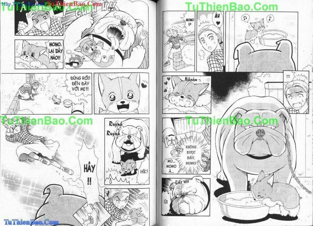 chó con mo mo chapter 3 39