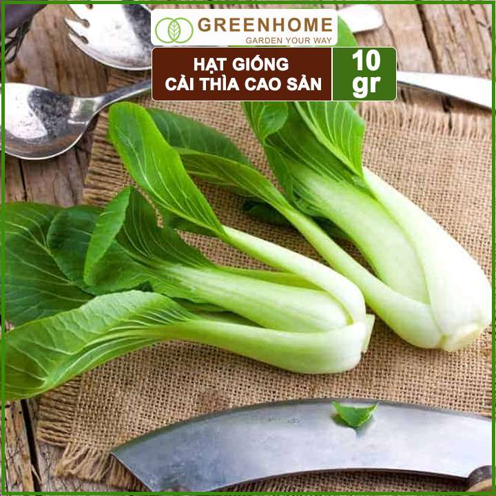 Hạt Giống Rau Cải Thìa Greenhome, Gói 20g, Dễ Trồng Quanh Năm, Nảy Mầm Cao, Thu Hoạch Nhanh, Năng Suất Cao R08