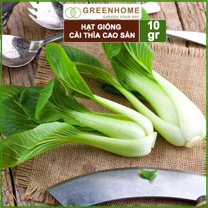 Hạt giống rau Cải thìa cao sản, gói 10gr, nẩy mầm khỏe năng suất cao R08 |Greenhome