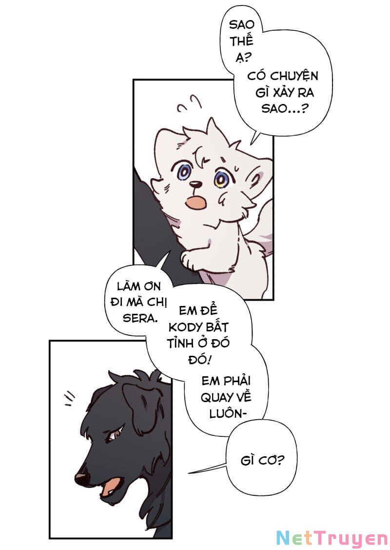 lumine - cội nguồn ánh sáng chapter 82 21