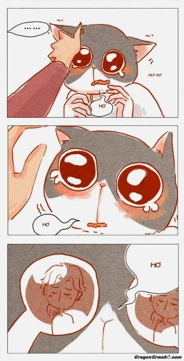 a, thấy đôi tai rồi nhe chapter 2 5