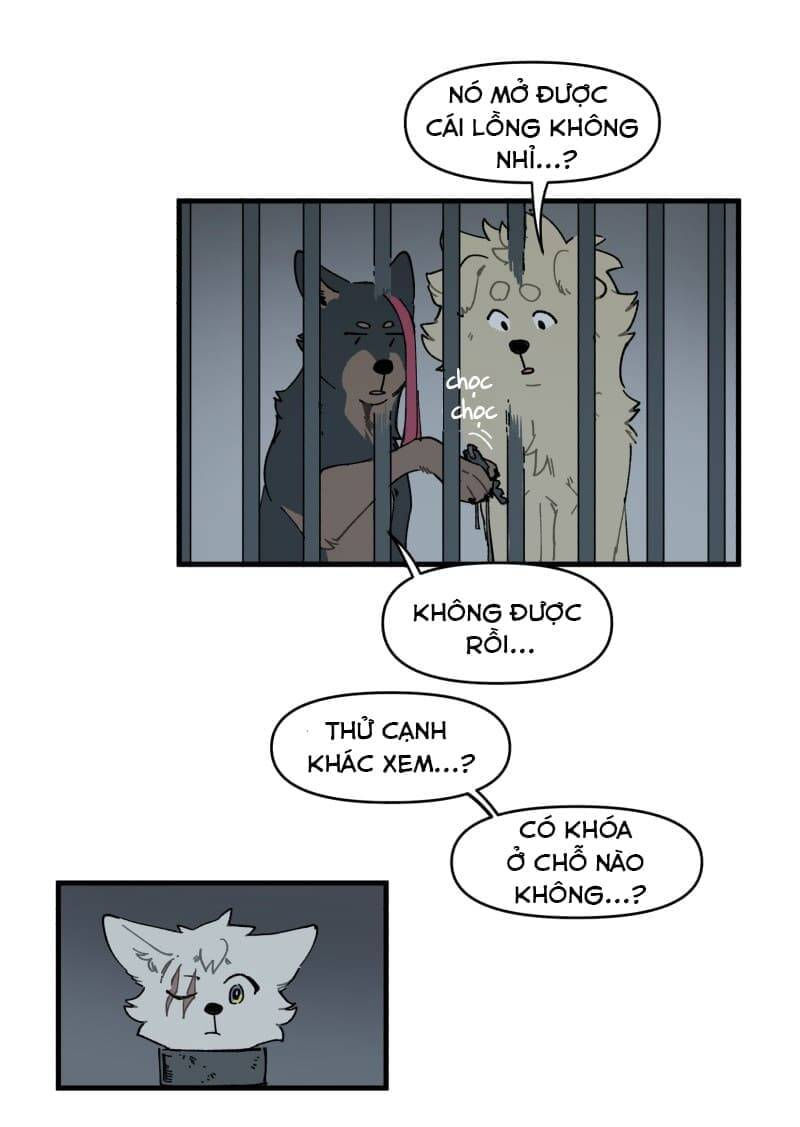 lumine - cội nguồn ánh sáng chapter 145 23