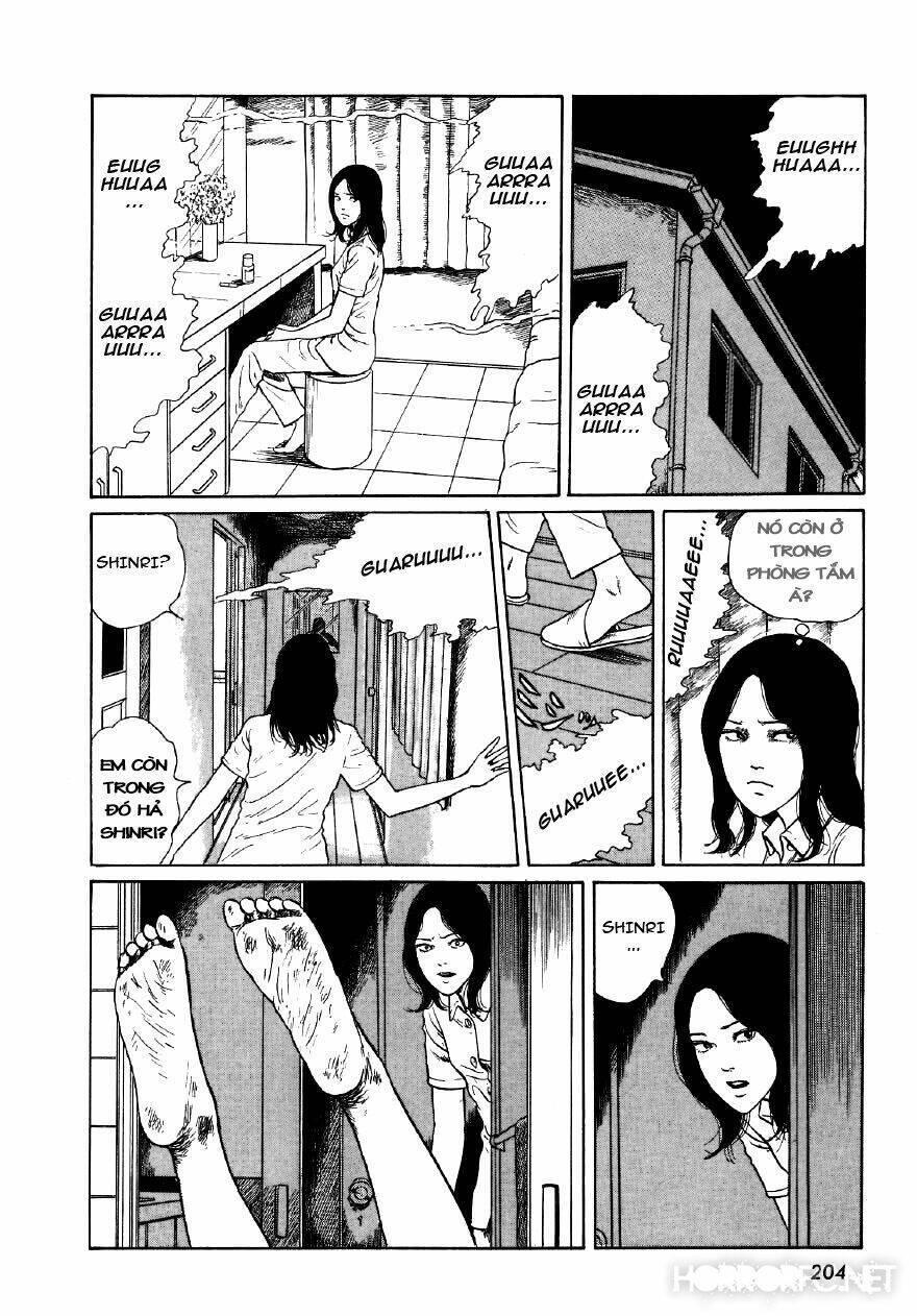 tuyển tập truyện ngắn kinh dị của ito junji chapter 7.6 59